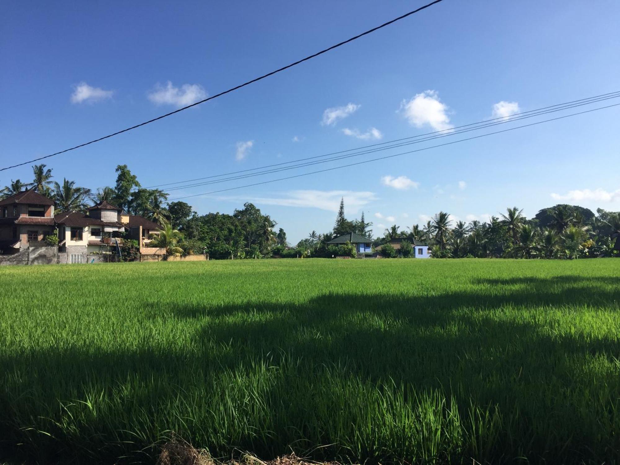 Ratna Villa อูบุด ห้อง รูปภาพ