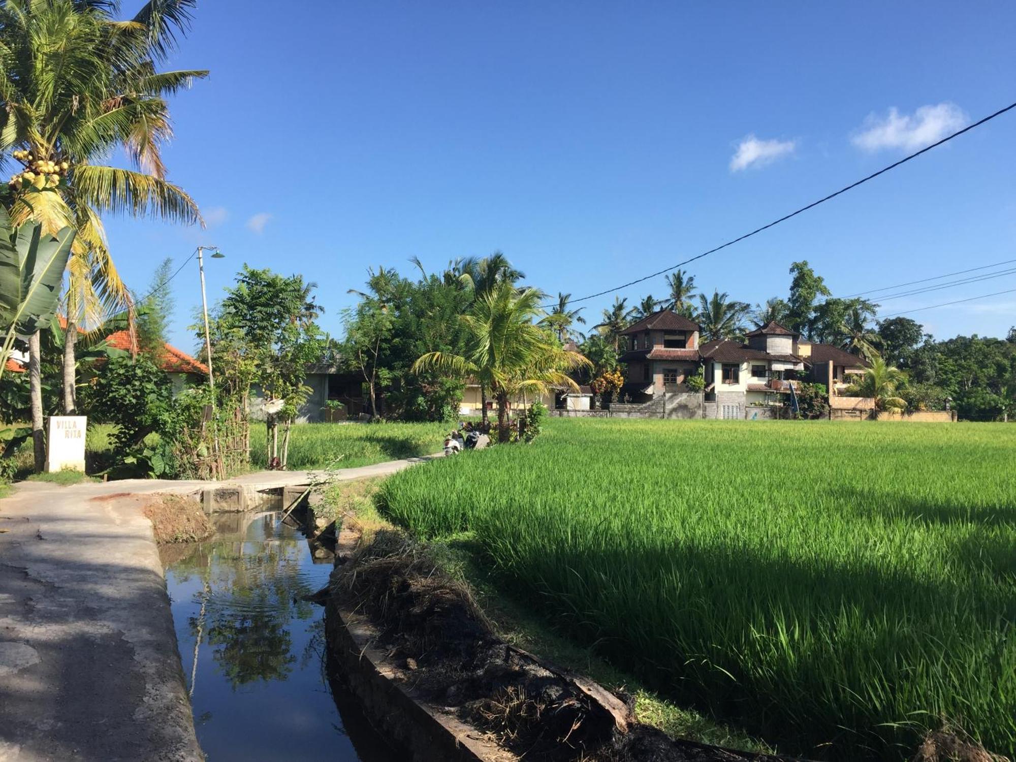 Ratna Villa อูบุด ห้อง รูปภาพ